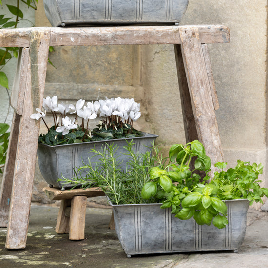 Ornate Zinc Planters With Feet