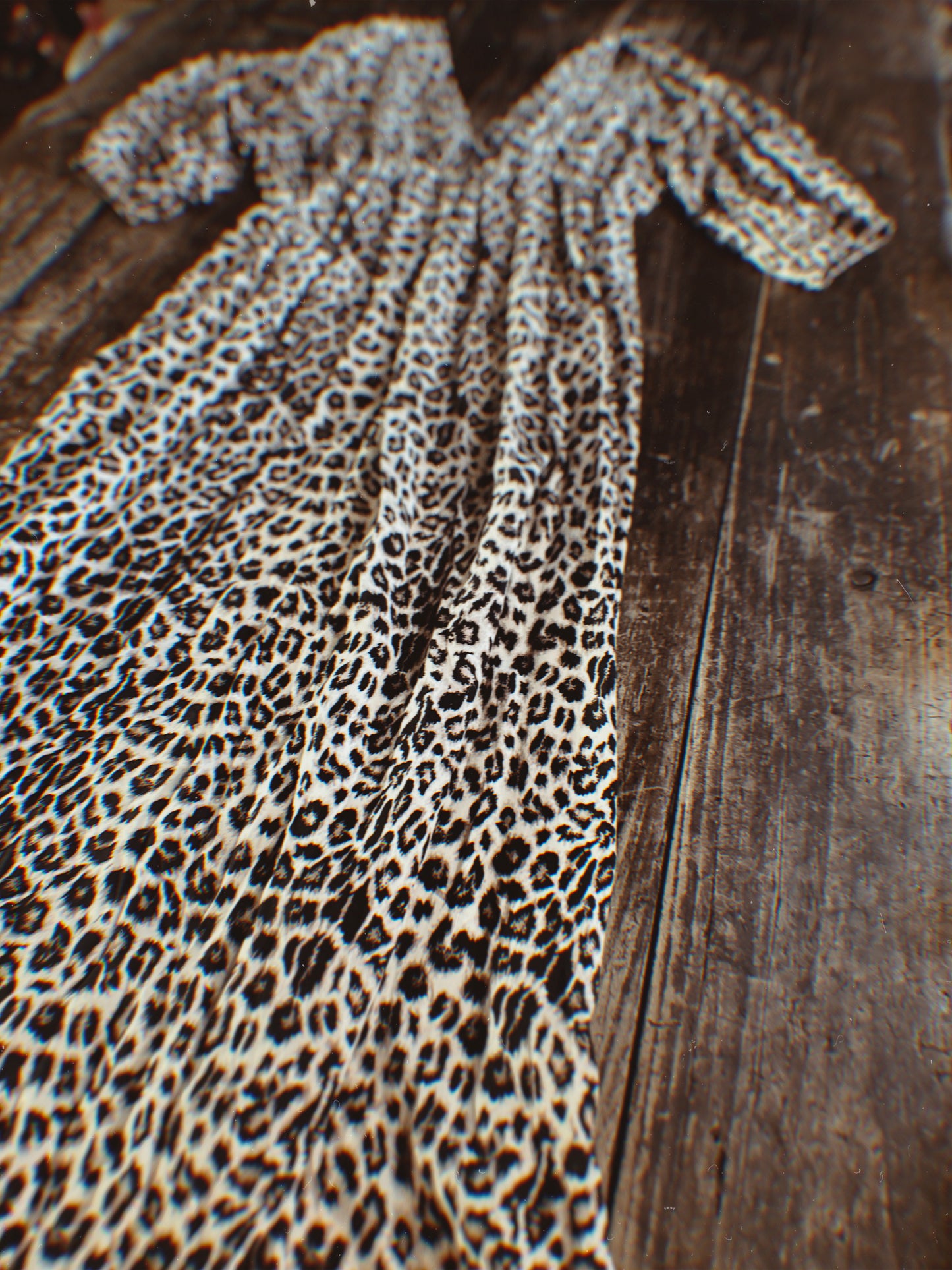 Leopard Print Maxi Dress