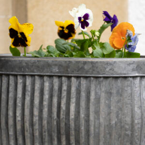 Zinc Ribbed Oval Planters