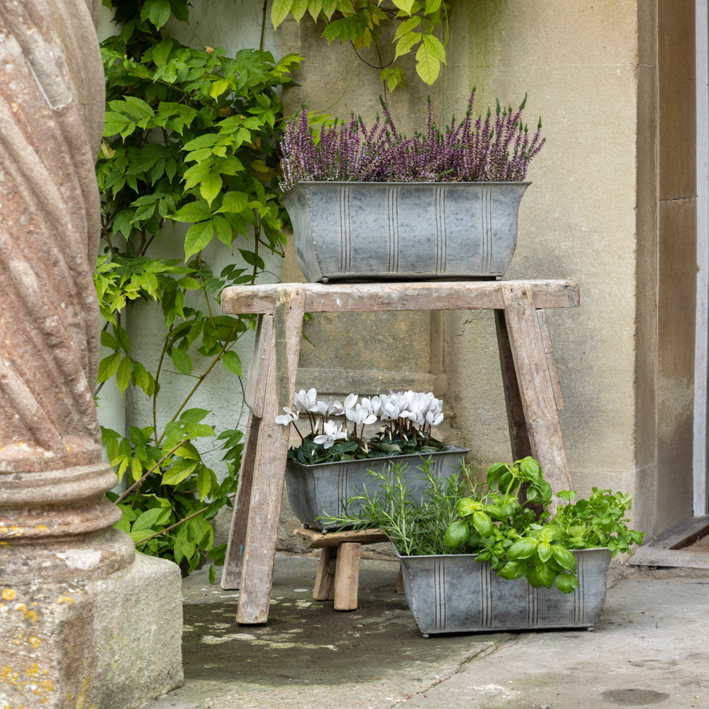 Ornate Zinc Planters With Feet